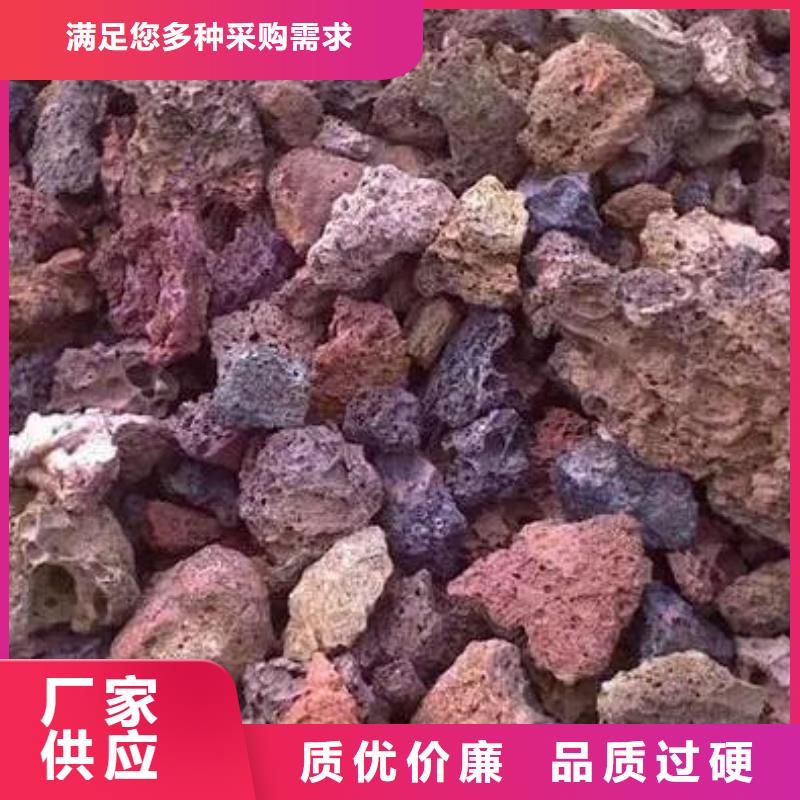浙江杭州反硝化池用活山岩生产厂家