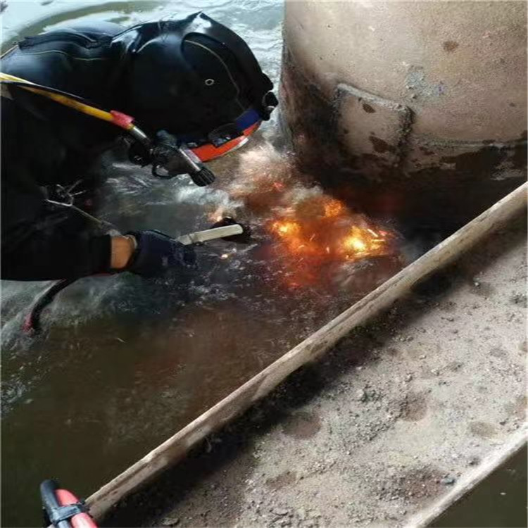 镇江市蛙人打捞公司-正规潜水资质团队