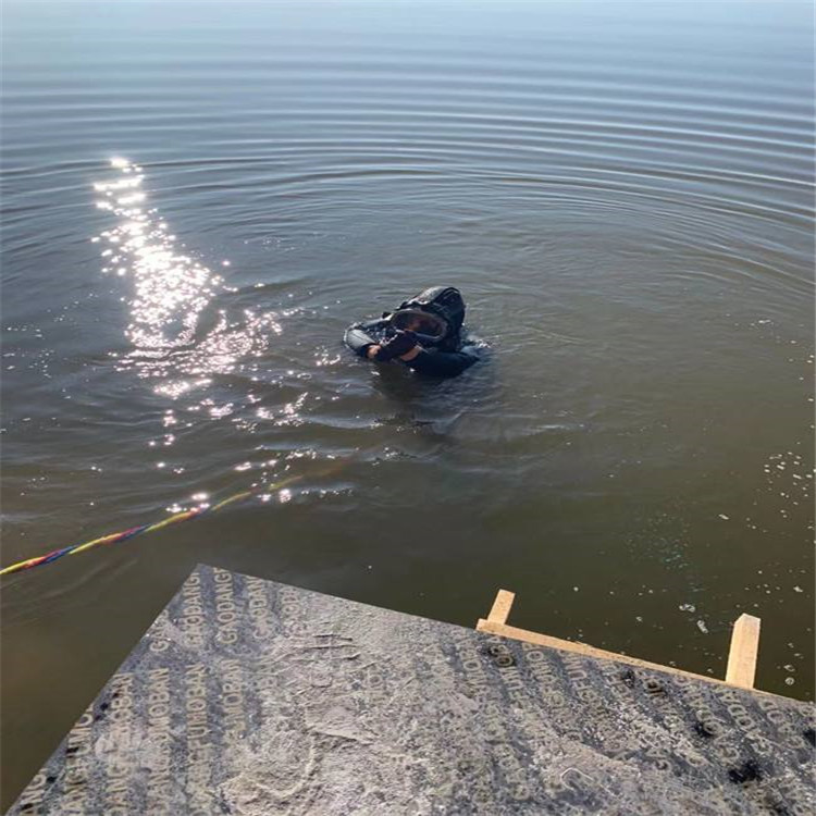 丽江市水下打捞救援电话号码/蛙人服务