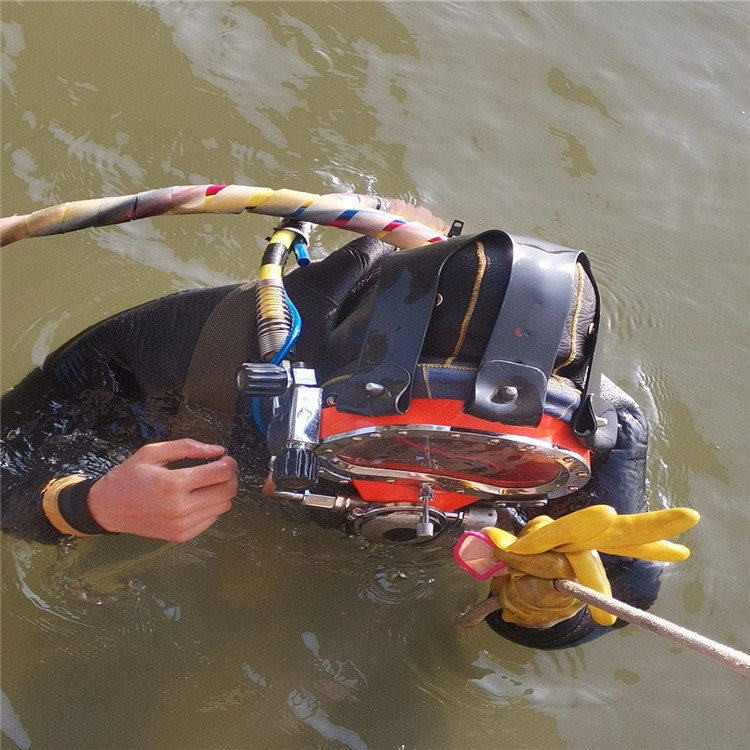泰兴市水下打捞手机怎么收费/救援服务