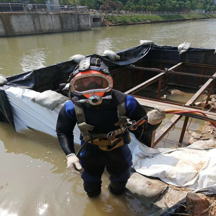 上海市潜水队-全市水下打捞救援队队伍