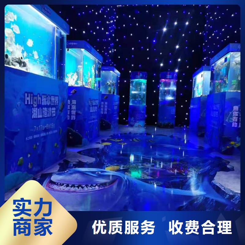 香港海洋主题动物表演_美人鱼表演价格低于同行