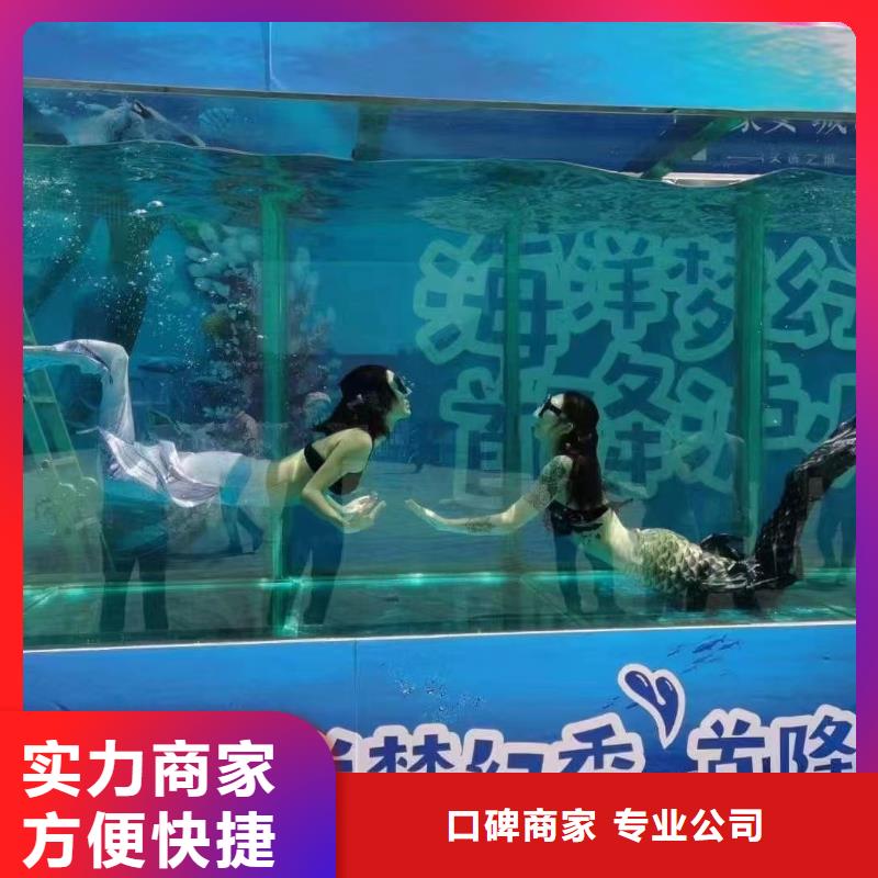 江西海洋主题动物表演_海狮表演出租免费咨询
