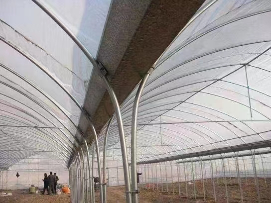浙江省杭州咨询余杭区养殖用黑白膜和利得膜的优点售后完善